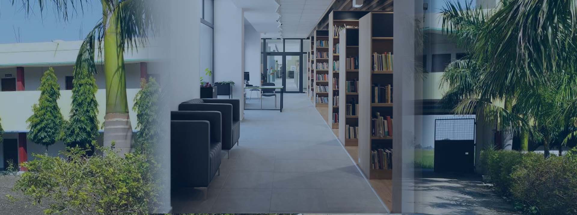 Library at Balram PG College